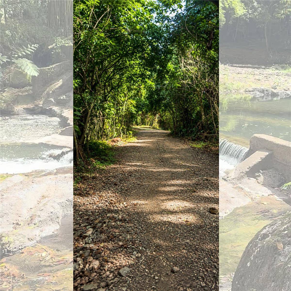 SOLAR 37 BO FRONTON, Ciales, PR 00638