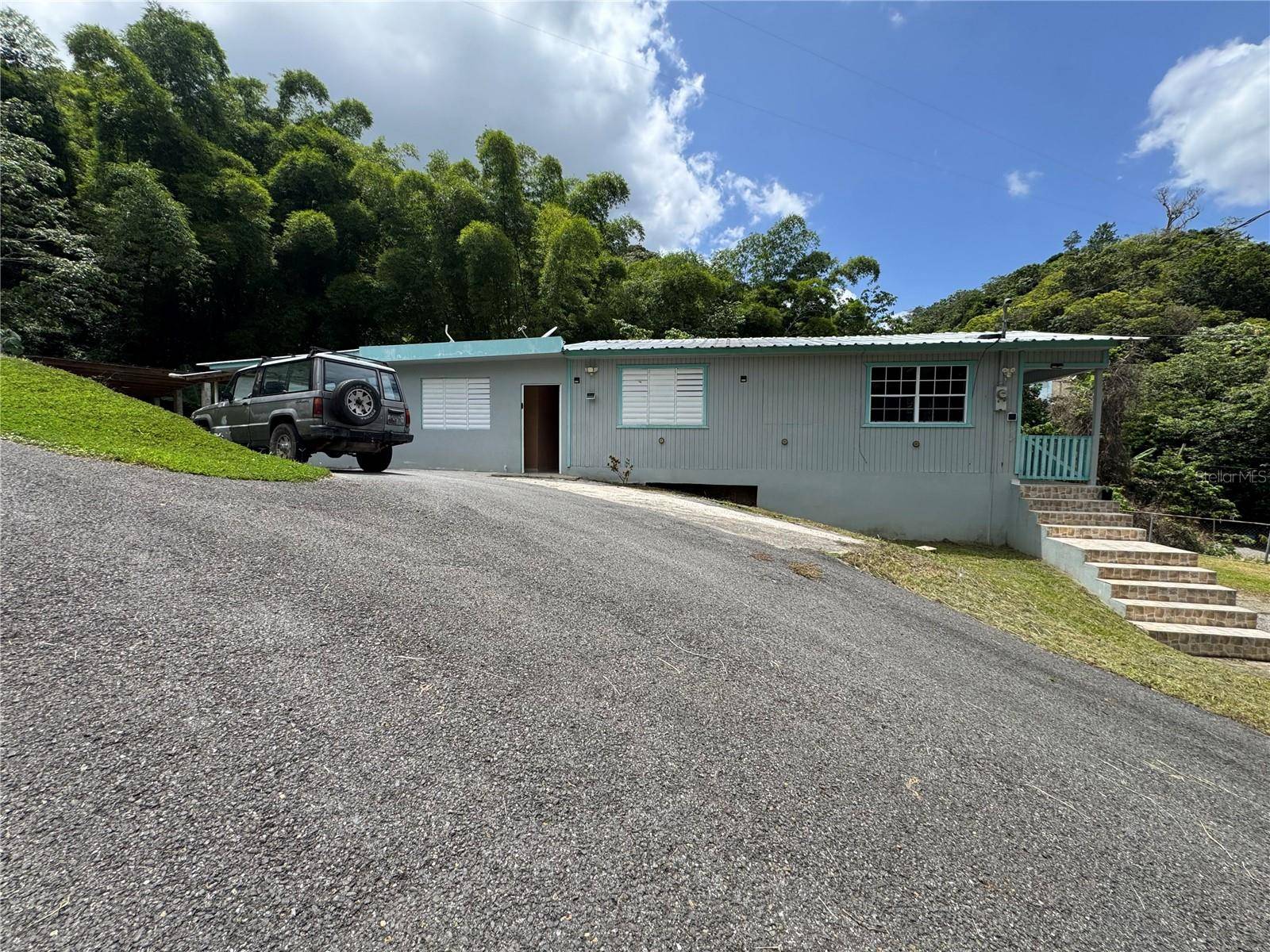 131 GUILARTE, Adjuntas, PR 00601