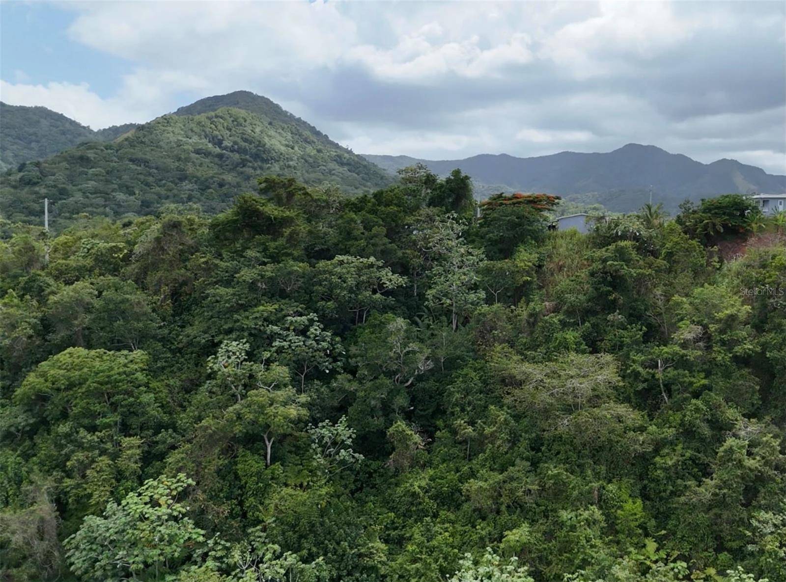 131 GUILARTE, Adjuntas, PR 00601