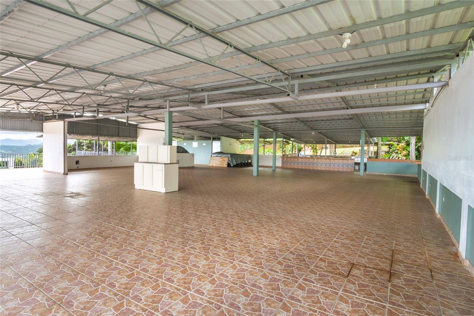 173 MONTELLANO, Cidra, PR 00739