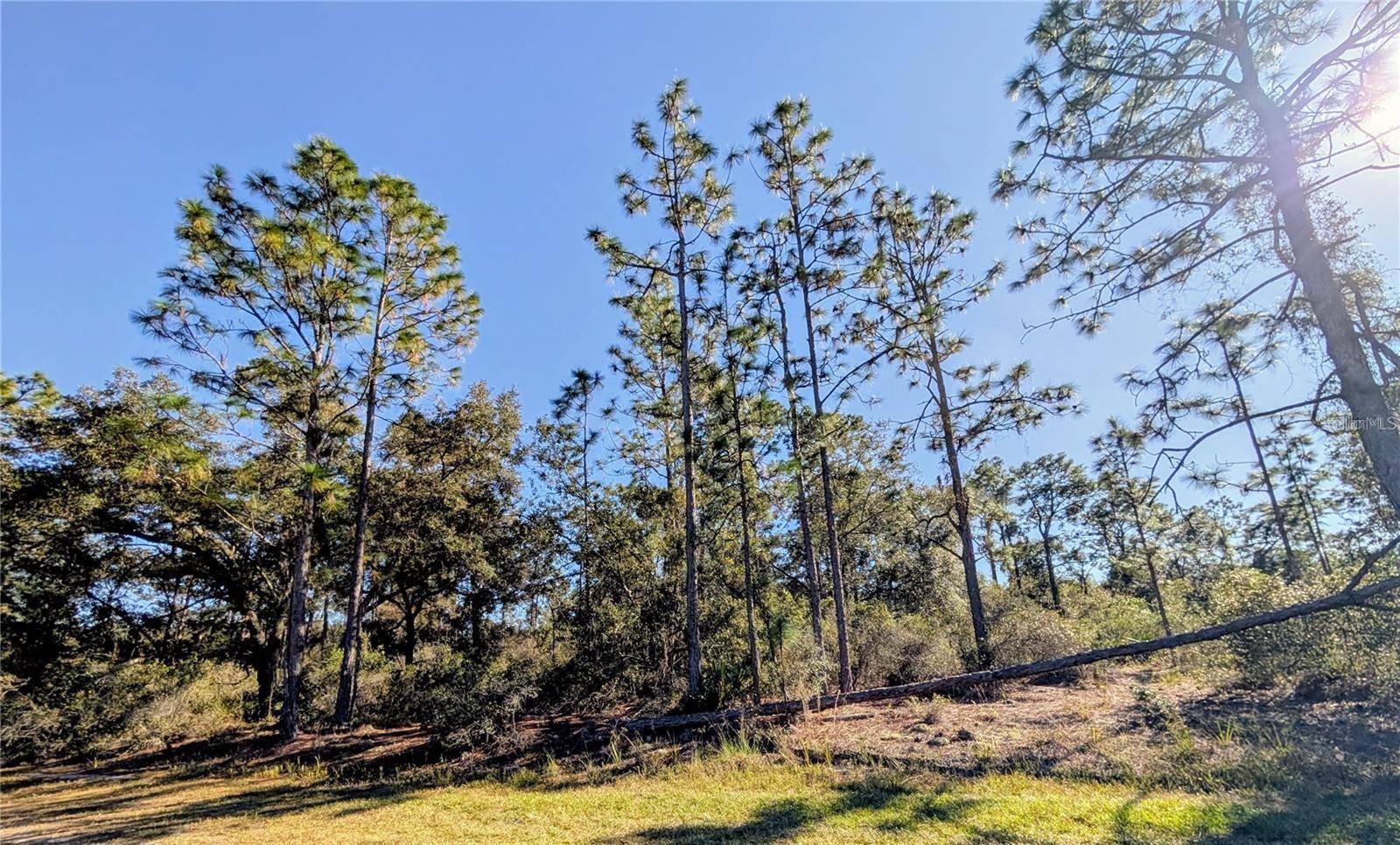 609 INDIAN LAKE DR, Indian Lake Estates, FL 33855