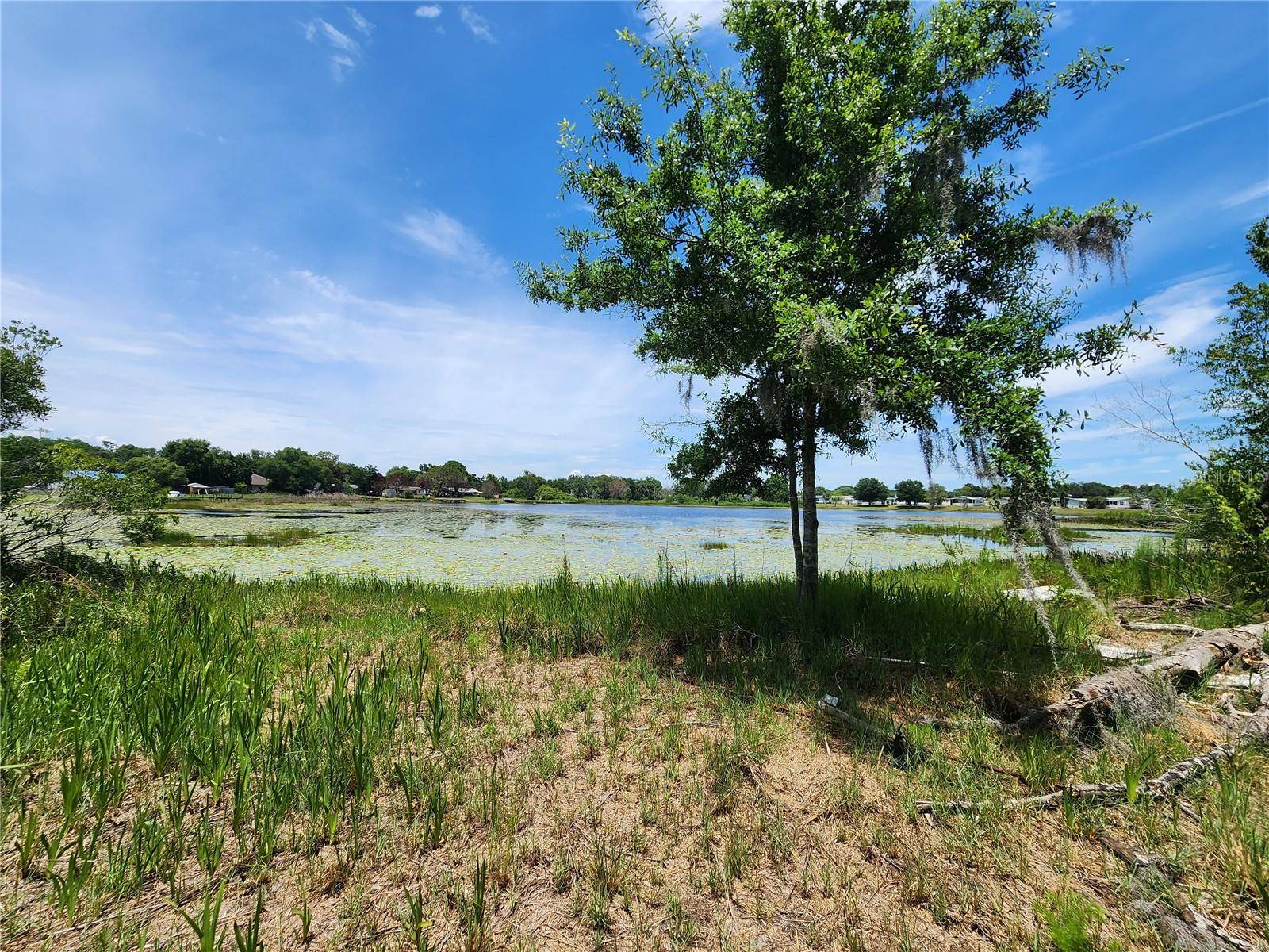 ARROWHEAD BLVD, Winter Garden, FL 34787