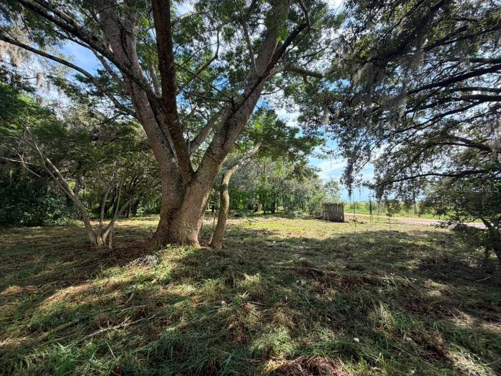 8156 DOGYARD RD, Lake Wales, FL 33898