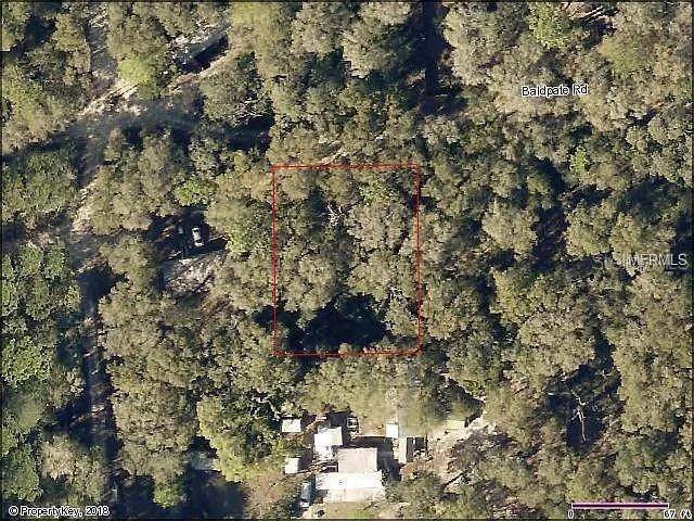 20316 BALDPATE RD, Altoona, FL 32702