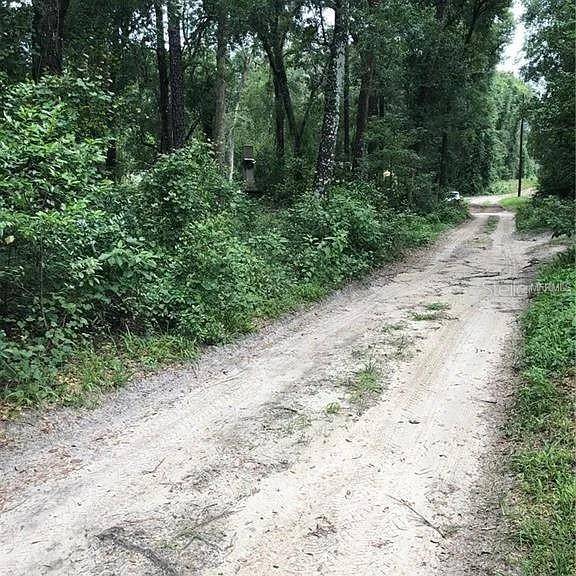 20316 BALDPATE RD, Altoona, FL 32702