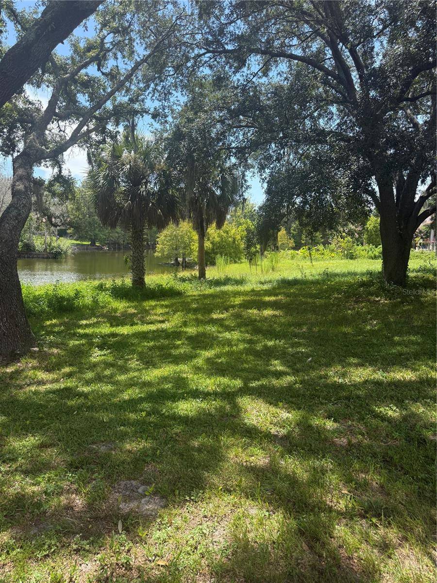 PARK RIDGE GOTHA RD, Windermere, FL 34786