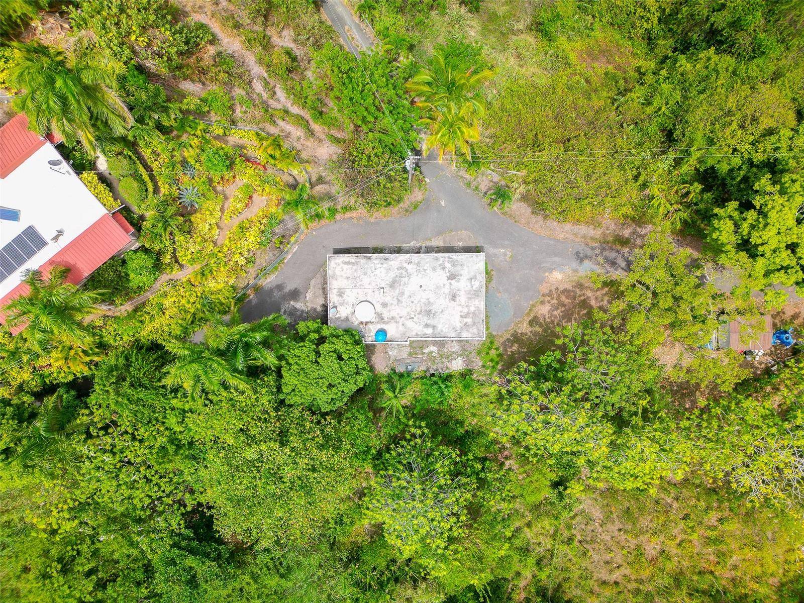 Address not disclosed, Ciales, PR 00638