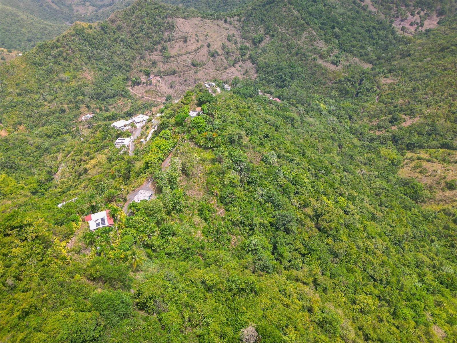 Address not disclosed, Ciales, PR 00638