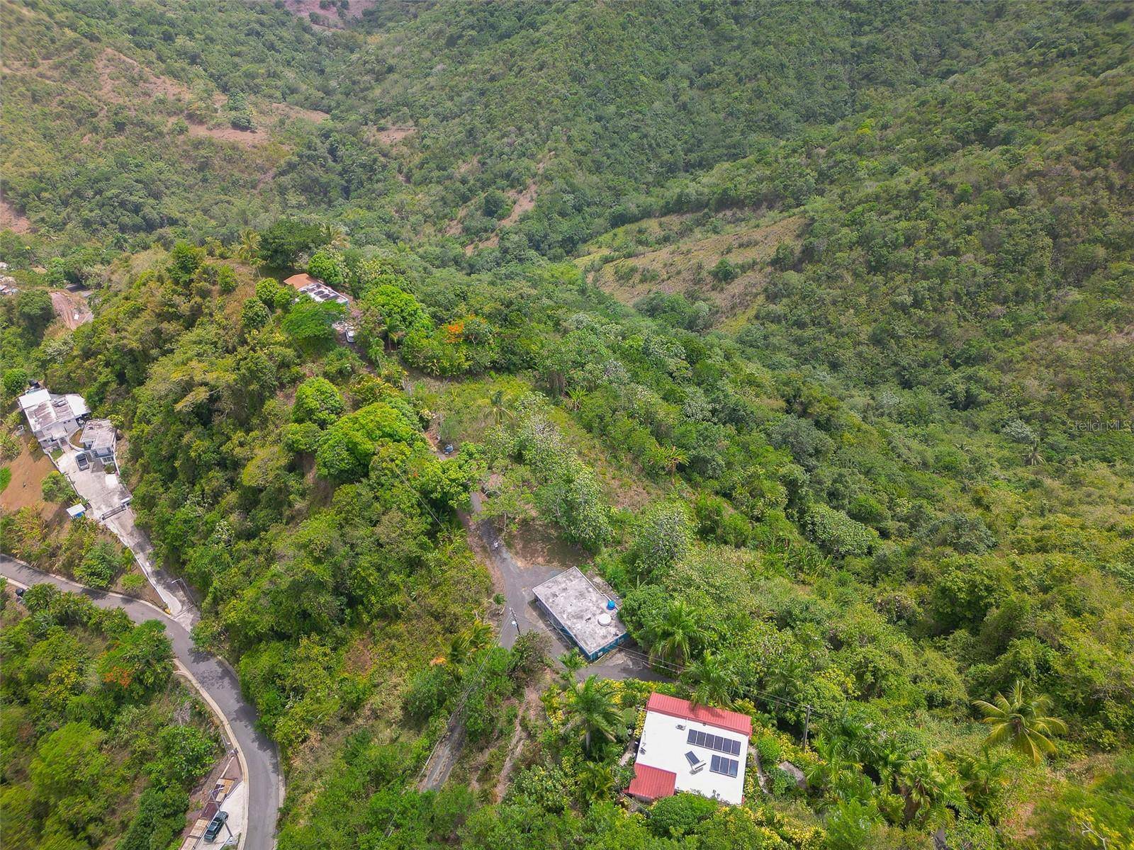 Address not disclosed, Ciales, PR 00638