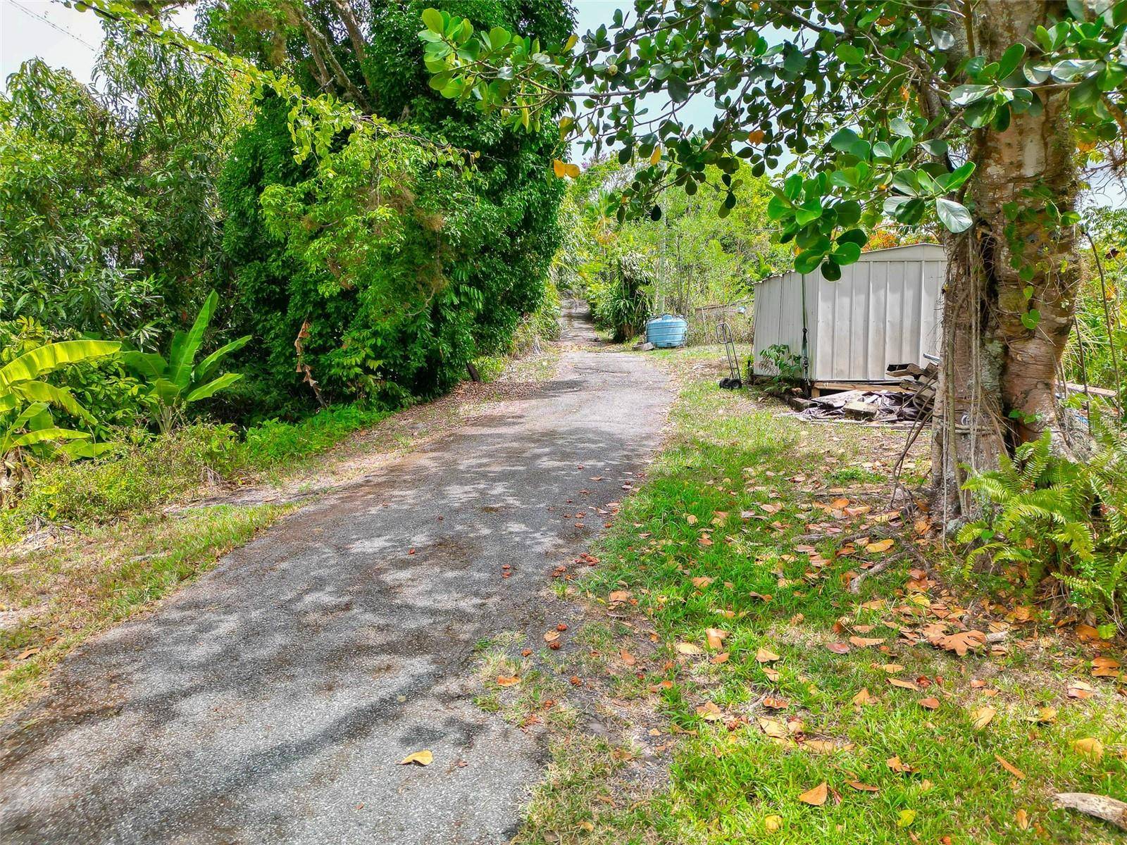 Address not disclosed, Ciales, PR 00638