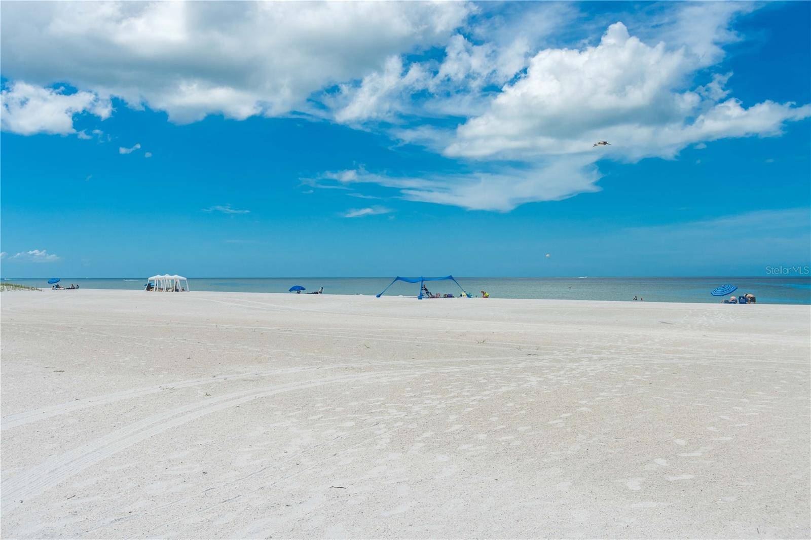 11605 GULF BLVD #503, Treasure Island, FL 33706