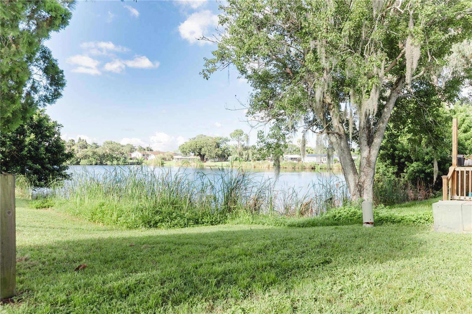 6520 MEADOWBROOK LN, New Port Richey, FL 34653
