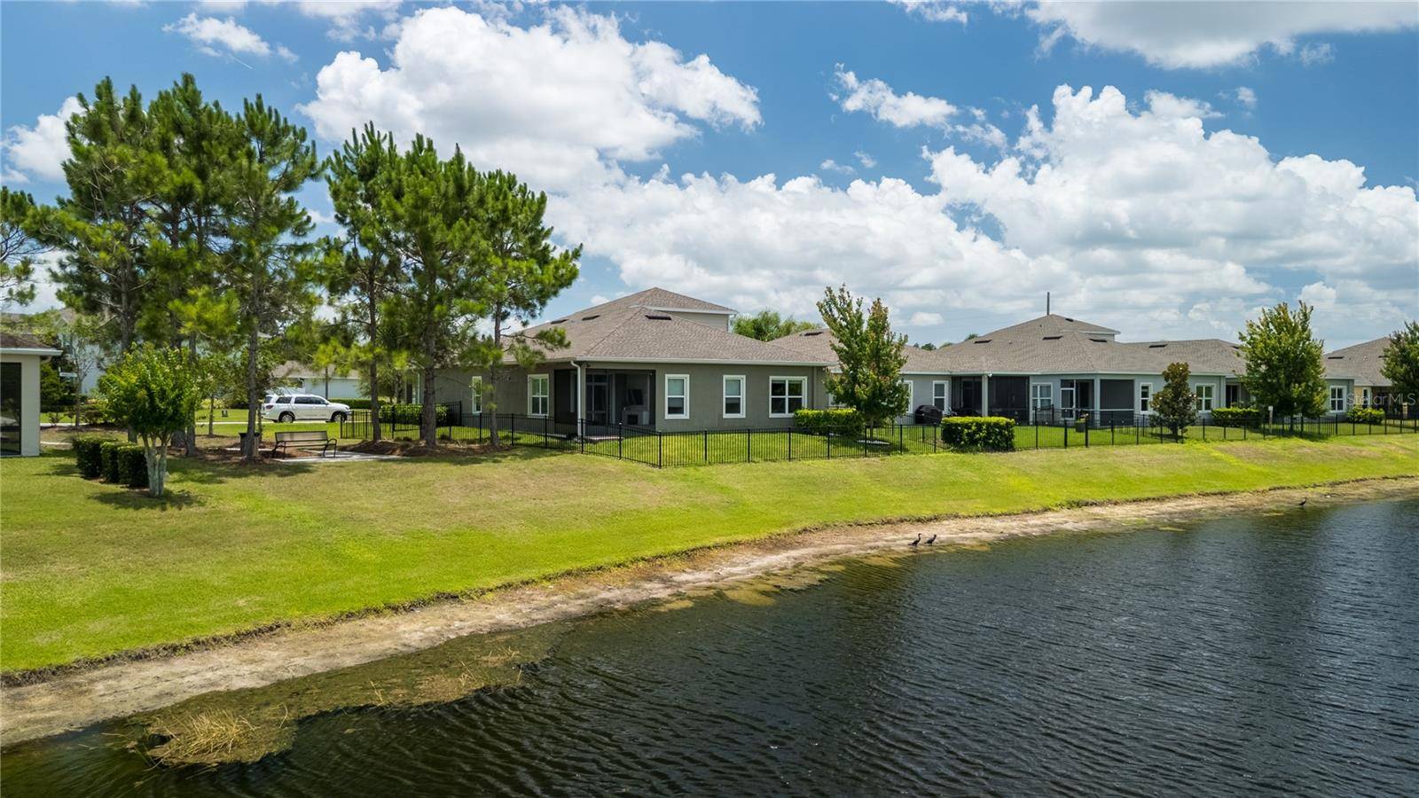 2443 PORTICO ST, Odessa, FL 33556