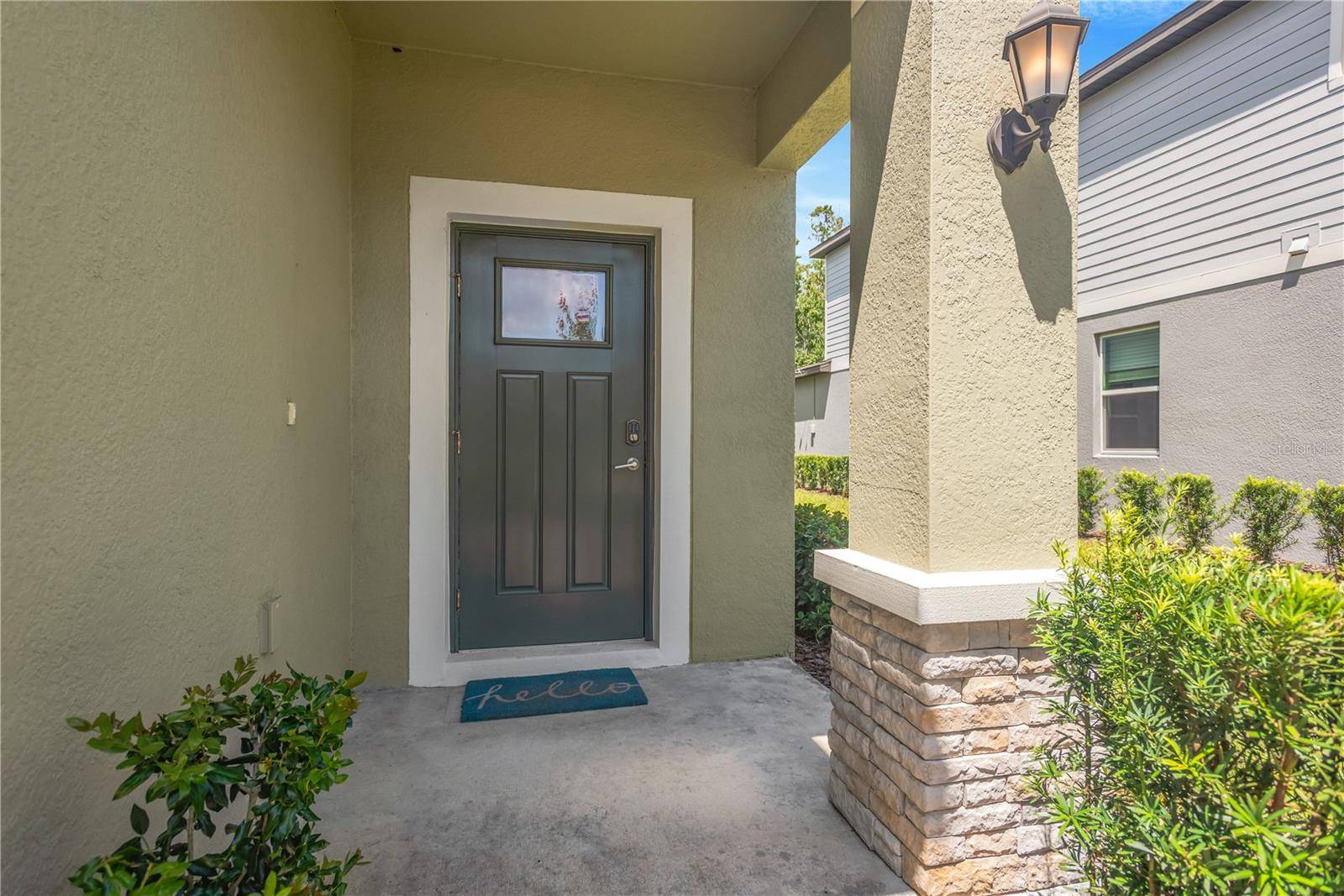 6033 ACARA LN, Land O Lakes, FL 34638