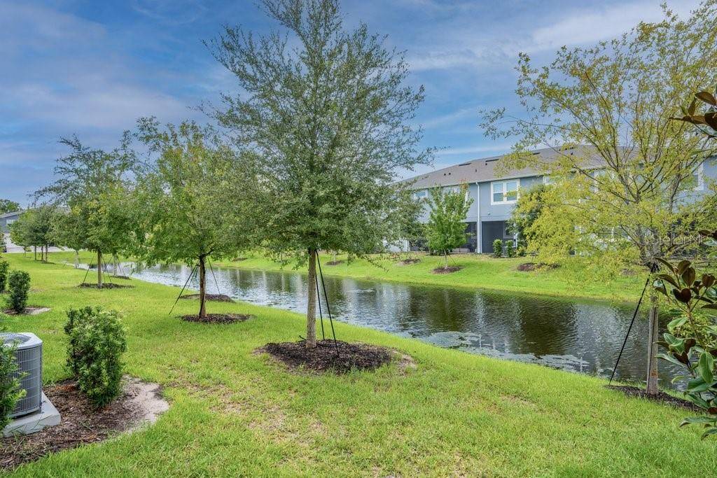 3463 TIMBER CROSSING AVE, Brandon, FL 33511