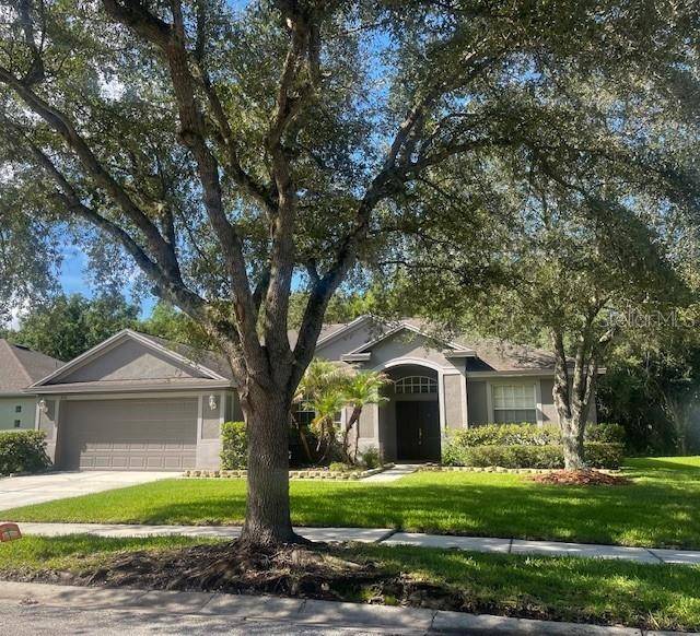 8343 TORRINGTON AVE, Tampa, FL 33647