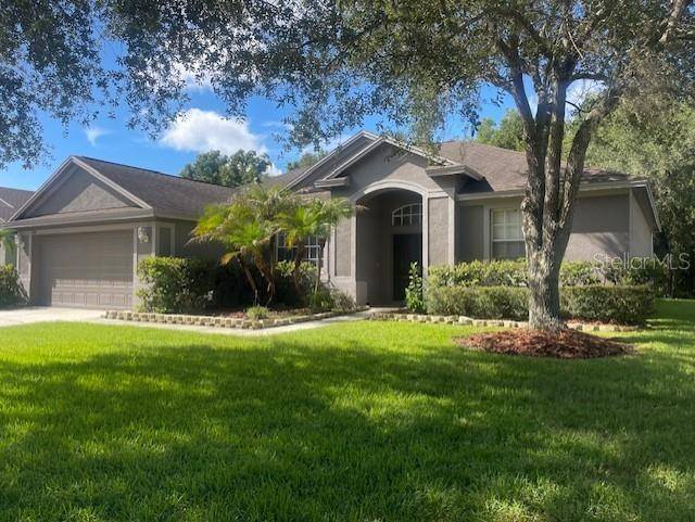 8343 TORRINGTON AVE, Tampa, FL 33647
