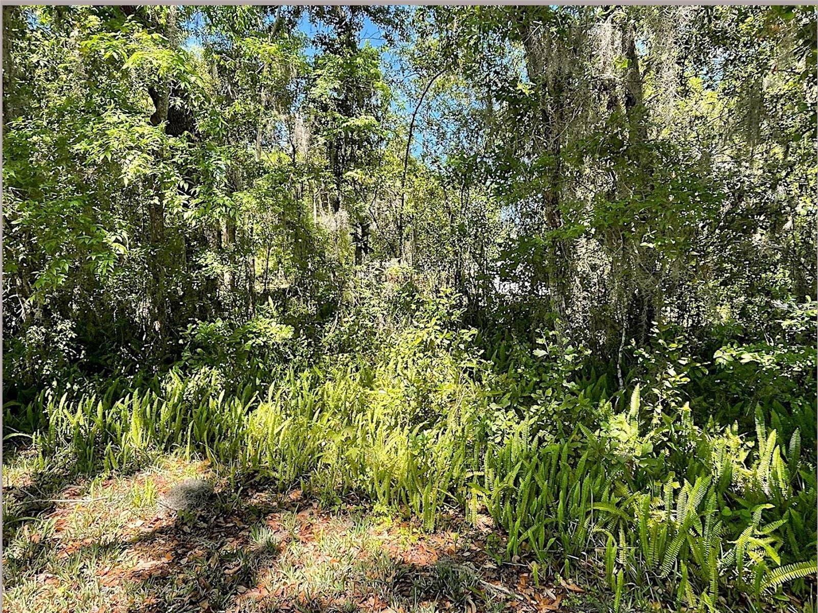 UNION ST, Brooksville, FL 34601