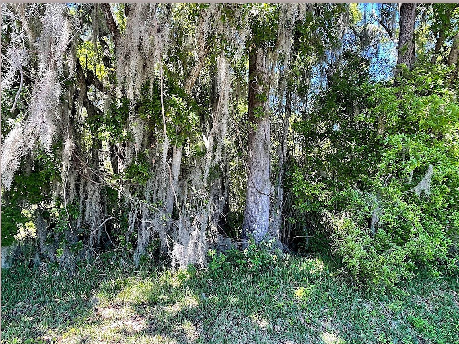 UNION ST, Brooksville, FL 34601