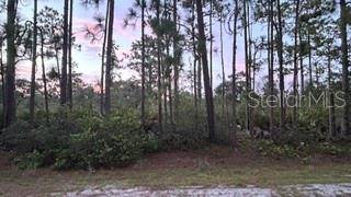 116 (BLK 62 LOT 8) CAMELLIA DR, Indian Lake Estates, FL 33855