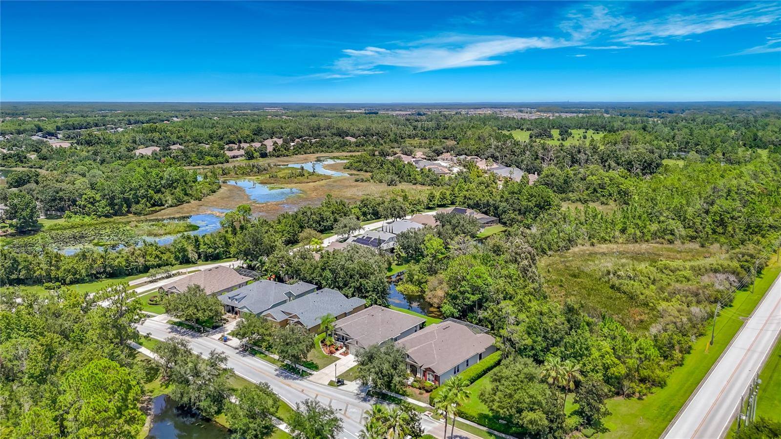 7220 NIGHT HERON DR, Land O Lakes, FL 34637