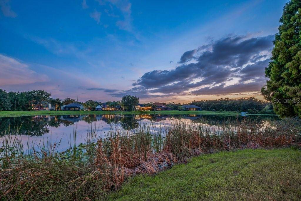 6217 KINGBIRD MANOR DR, Lithia, FL 33547
