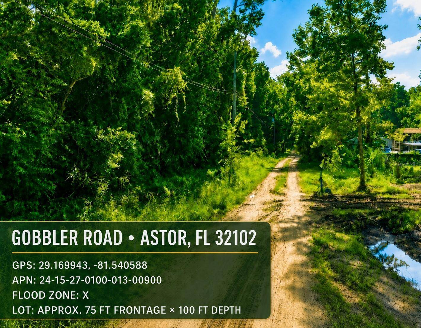 GOBBLER RD, Astor, FL 32102
