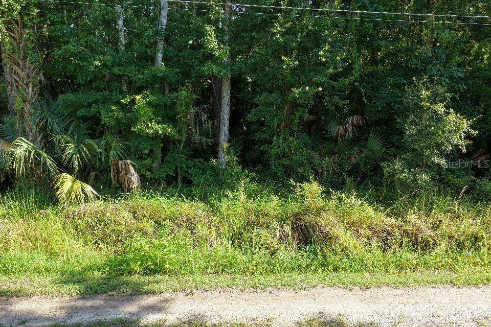 GOBBLER RD, Astor, FL 32102