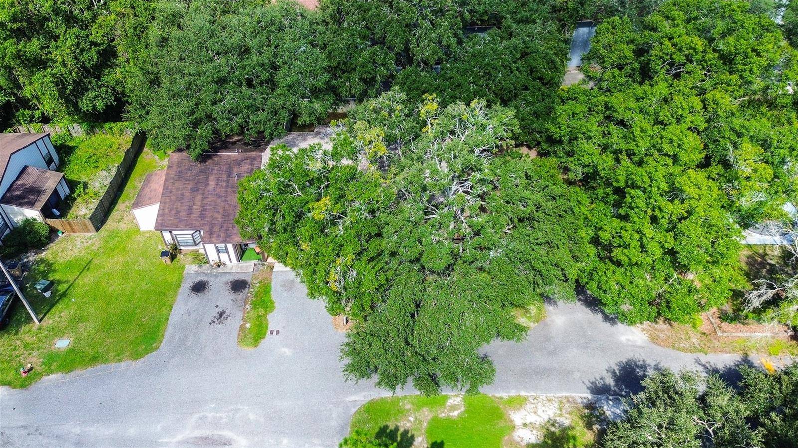 10306 COUNCILS WAY, Temple Terrace, FL 33617
