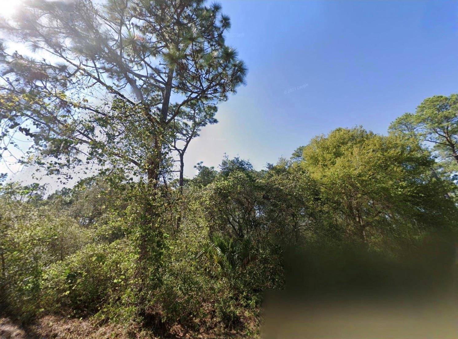 CHINABERRY WAY, Eustis, FL 32736