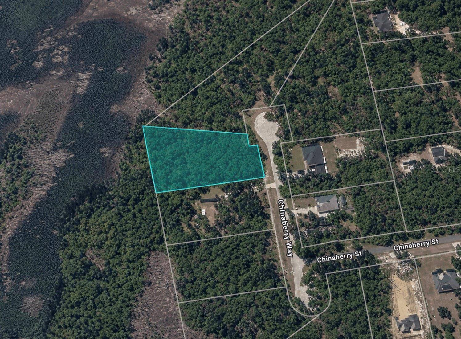 CHINABERRY WAY, Eustis, FL 32736