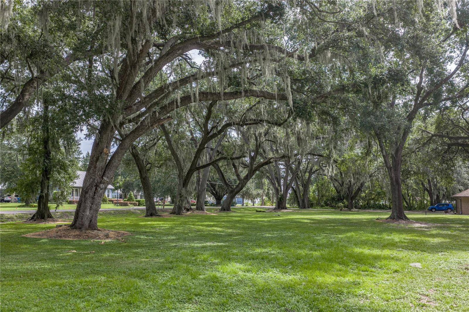 3501 E TRAPNELL RD, Plant City, FL 33566