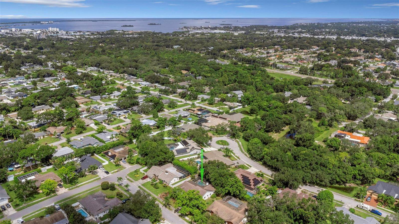 1620 COUNTRY LN, Dunedin, FL 34698