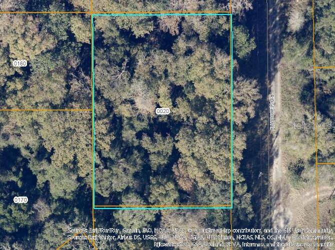 TBD RIDGEWOOD AVE, De Leon Springs, FL 32130