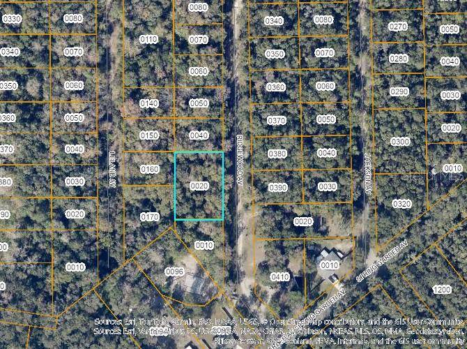 TBD RIDGEWOOD AVE, De Leon Springs, FL 32130