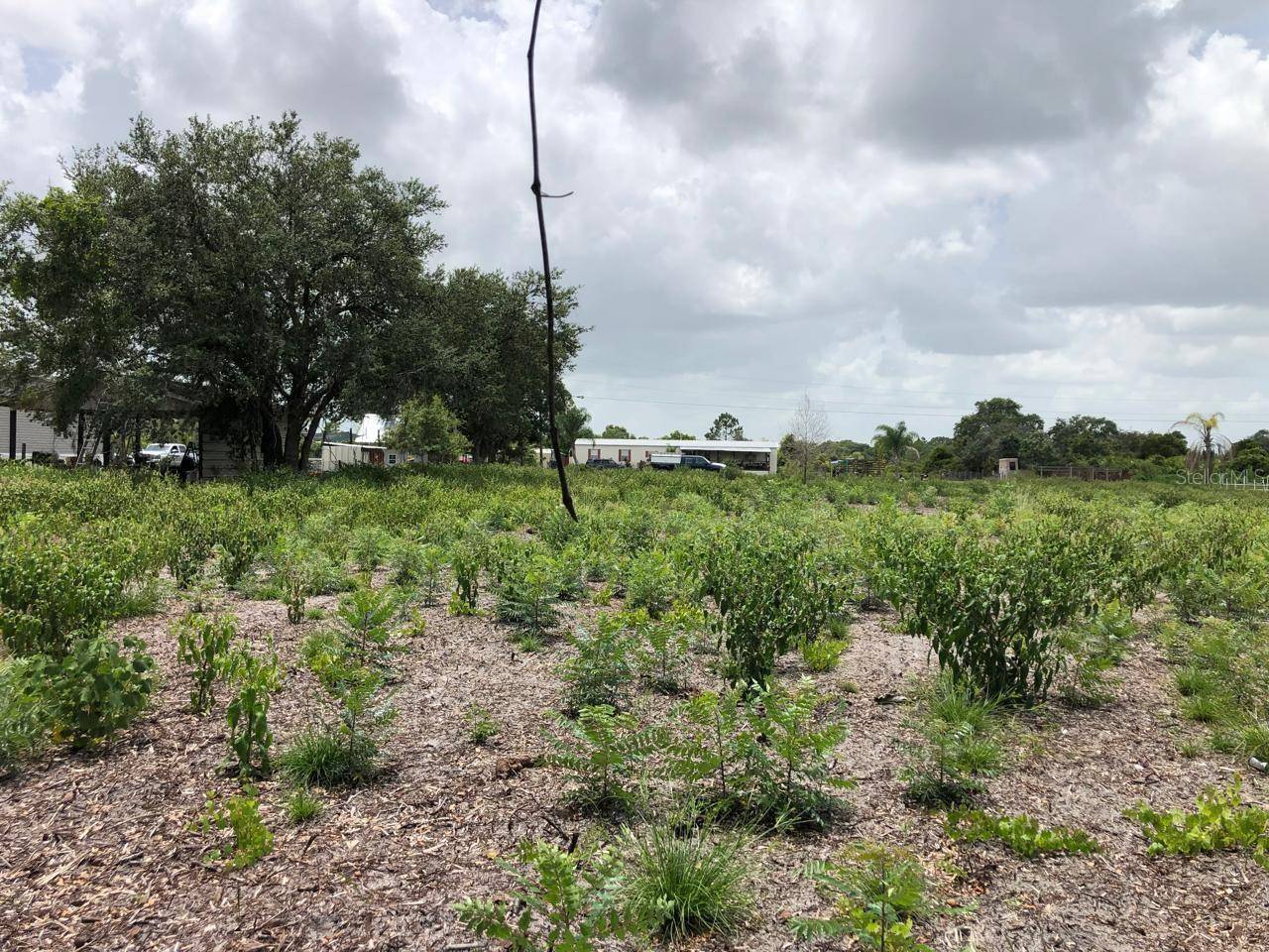 DUCK KEY ST, Lake Wales, FL 33859