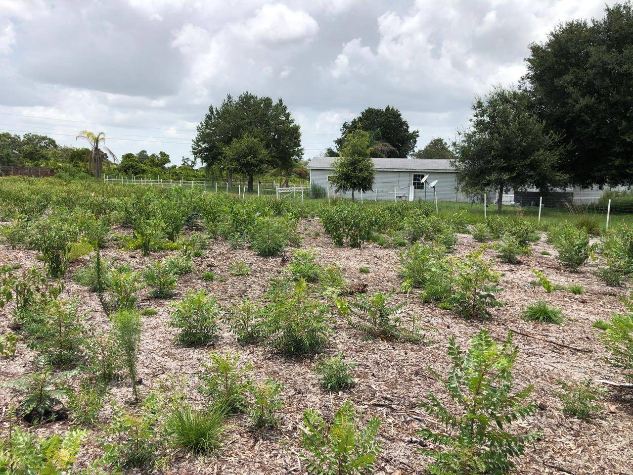 DUCK KEY ST, Lake Wales, FL 33859