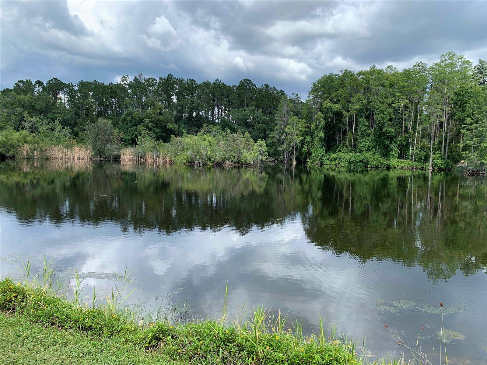 21107 2ND ST, Land O Lakes, FL 34638