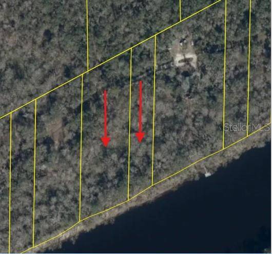893 NE 930 ST, Cross City, FL 32628