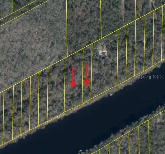 893 NE 930 ST, Cross City, FL 32628