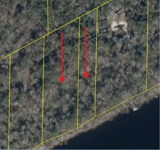 893 NE 930 ST, Cross City, FL 32628