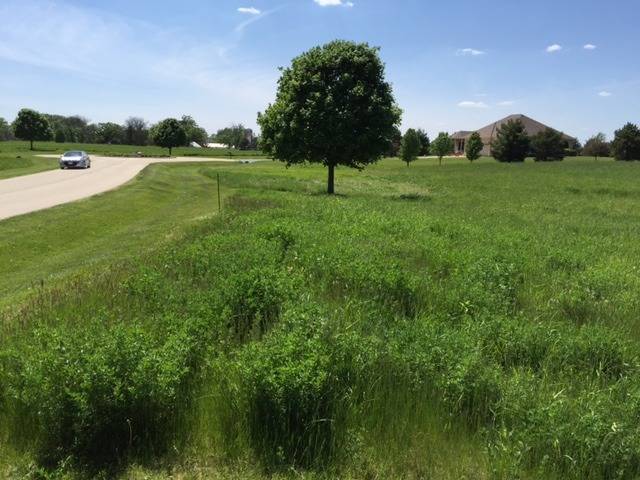 17402 Wildflower CIR, Union, IL 60180