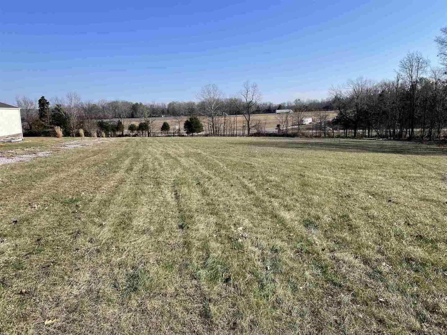 TBD Tulip LN, Vienna, IL 62960