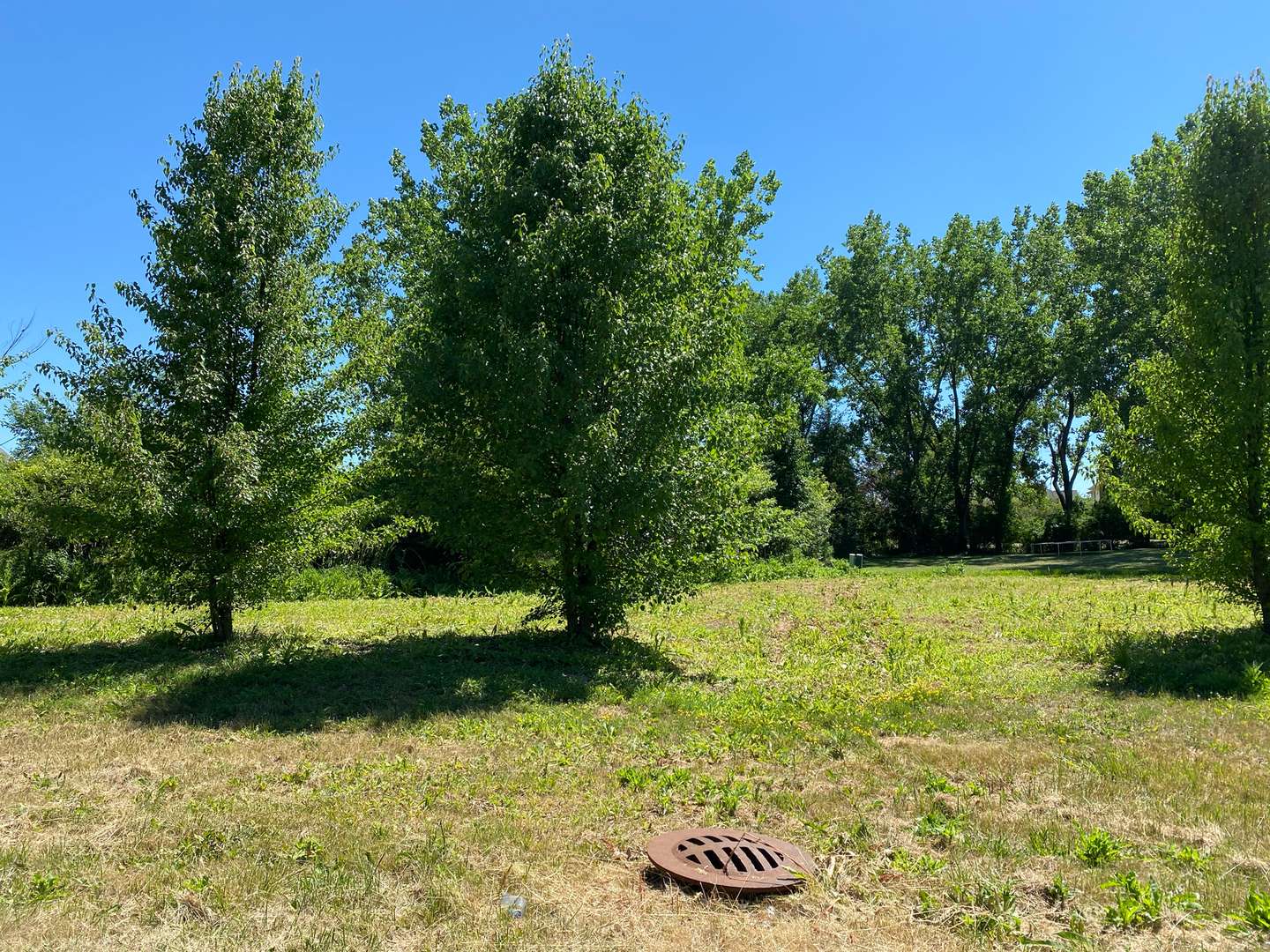 Lot 25 E Tiffany DR, Crete, IL 60417