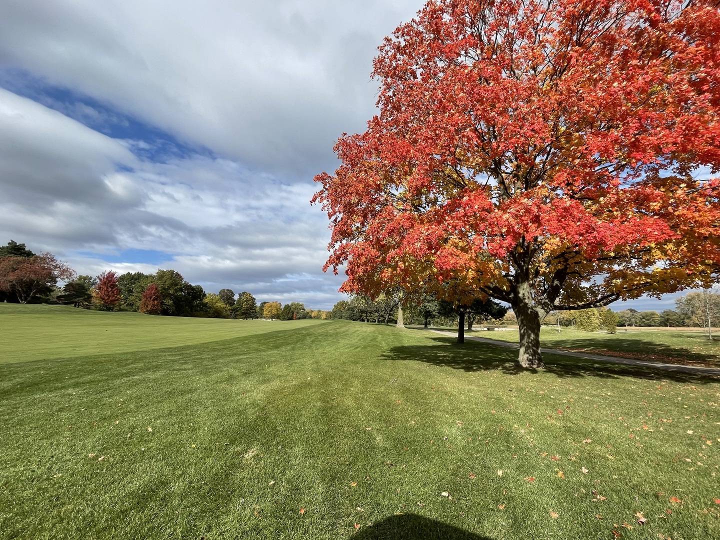 20992 W Preserve DR, Kildeer, IL 60047