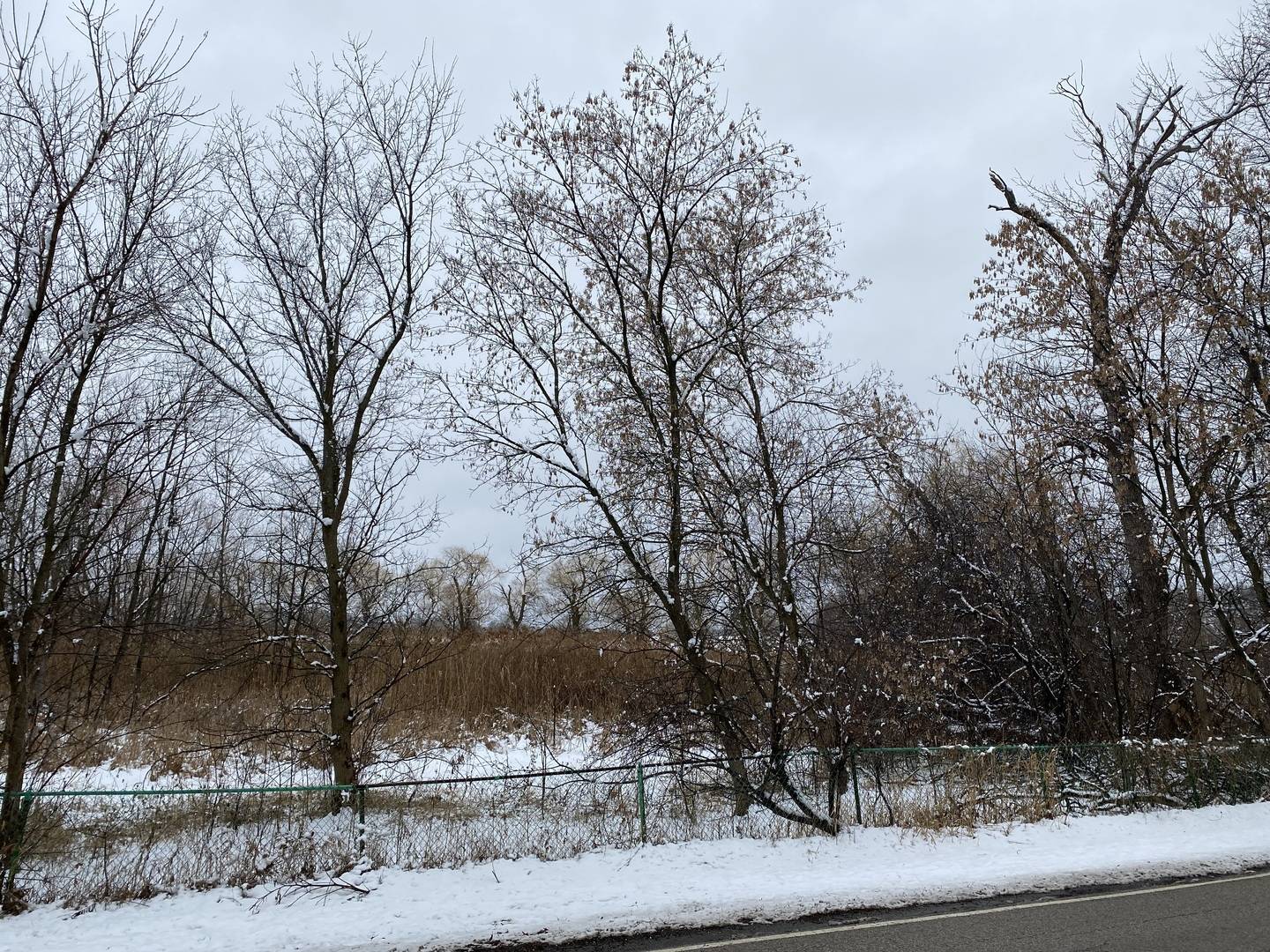 95 W South DR, Lakemoor, IL 60051