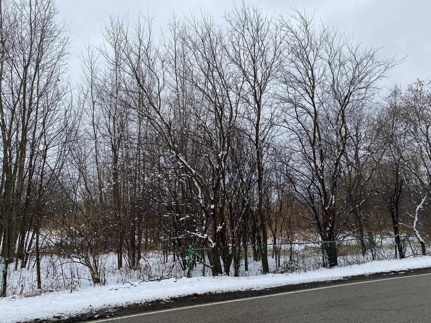 95 W South DR, Lakemoor, IL 60051