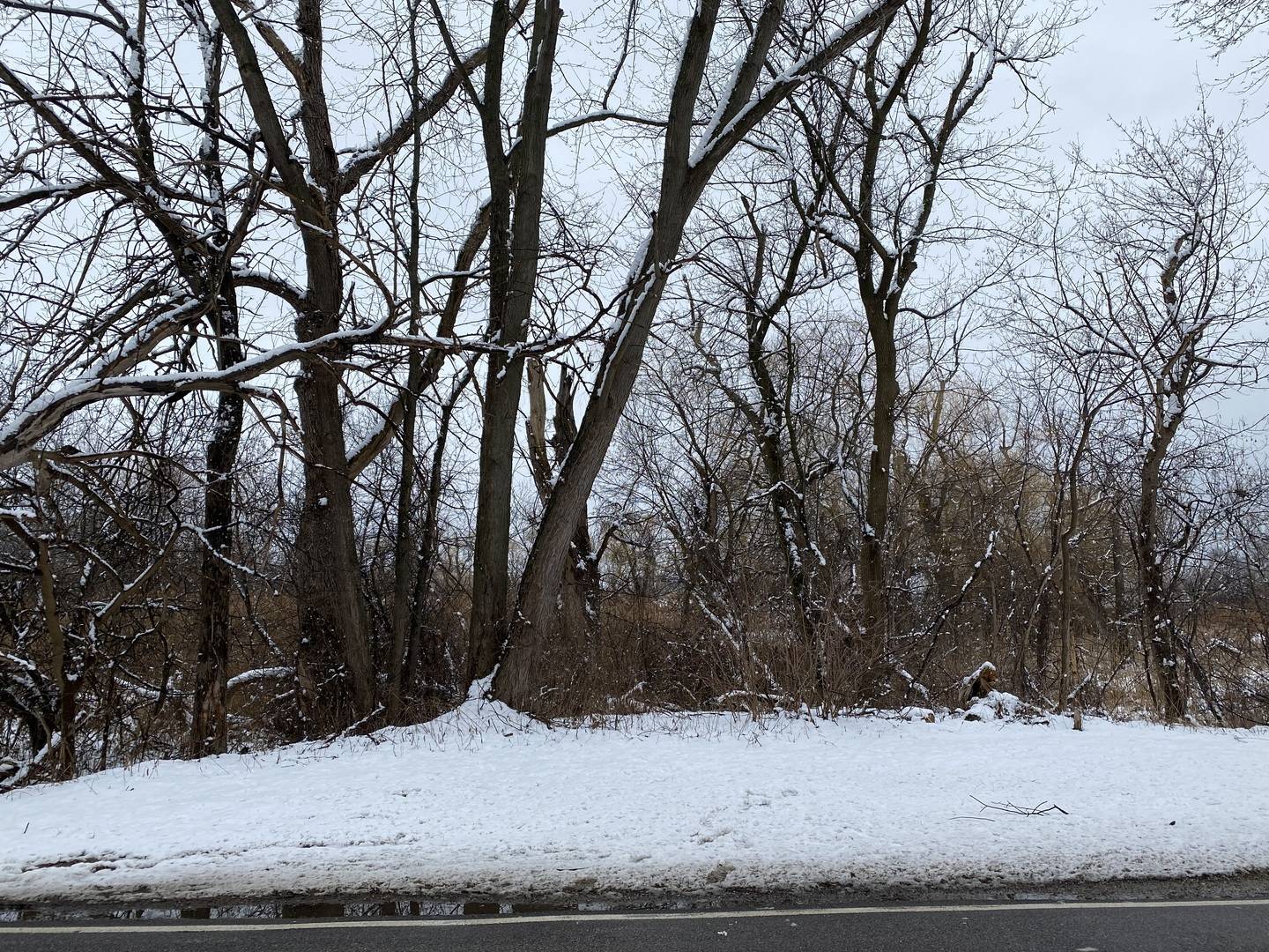 95 W South DR, Lakemoor, IL 60051