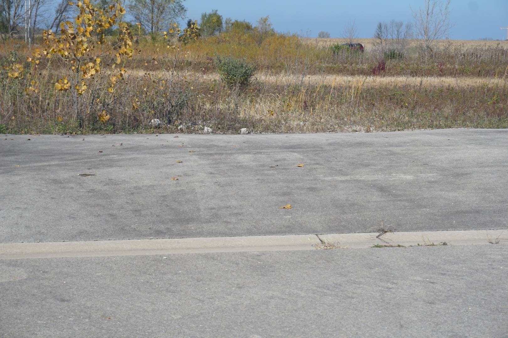 Sec29 Heritage DR, Elwood, IL 60421