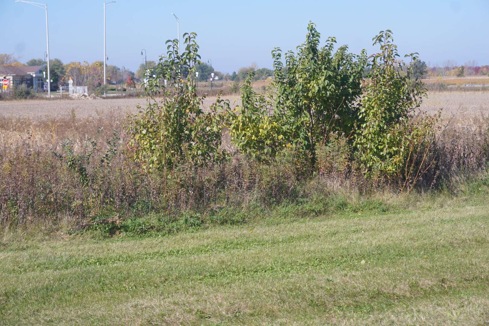 Sec29 Heritage DR, Elwood, IL 60421